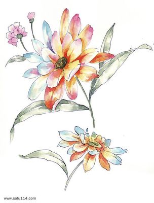 手繪花卉 筆尖綻放的藝術與情感